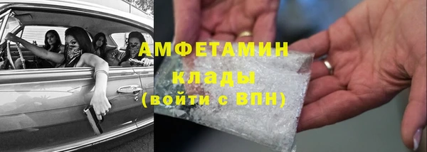 мдпв Рославль