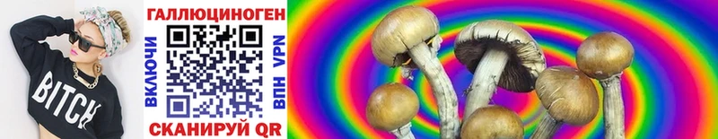 Купить  Вельск  Галлюциногенные грибы MAGIC MUSHROOMS 