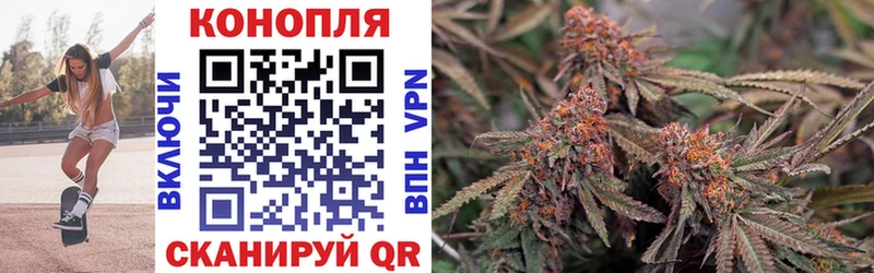 Бошки Шишки план  Купить где  Вельск 